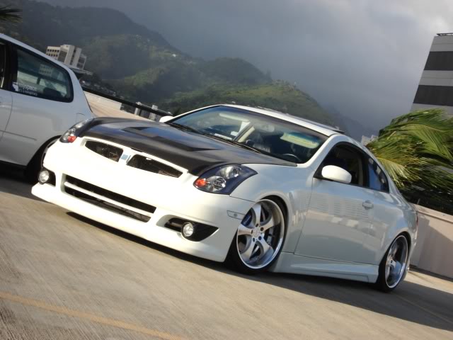 Name:  cf231.jpg
Views: 125
Size:  49.9 KB