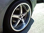 Finally pulled the trigger...-0617071157c.jpg