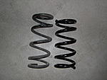 RS-R Down 350Z springs and Kics spacers-rs-r-rears.jpg