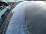 Clear coat bubbles-clear_coat_bubble_1.jpg