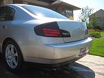 taillight tints-puppy-060.jpg