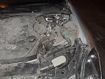 Some Help needed for a 1st timer-sdc19384.jpg