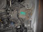 Some Help needed for a 1st timer-sdc19386.jpg