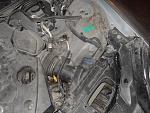 Some Help needed for a 1st timer-sdc19387.jpg