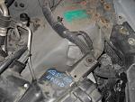 Some Help needed for a 1st timer-sdc19388.jpg