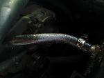Anyone know what this Hose is Called?-20130916_130528.jpg