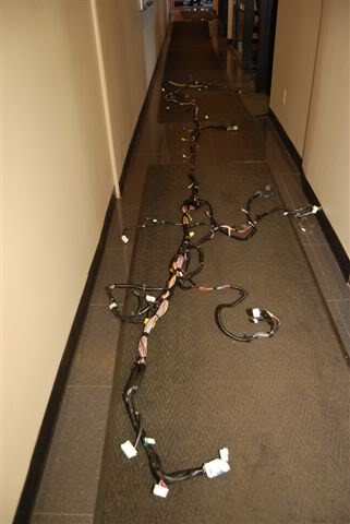 Name:  Harness.jpg
Views: 746
Size:  21.2 KB