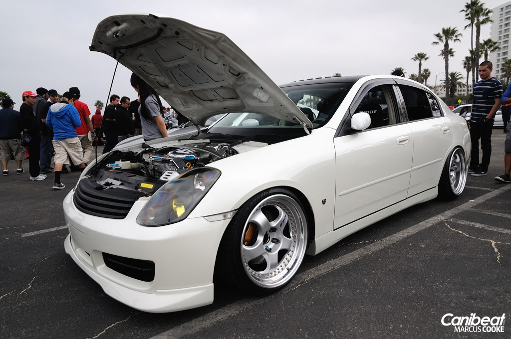 Name:  DSC_9065copy.jpg
Views: 778
Size:  151.6 KB