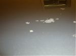 Clearcoat chipping/fading?-car-011.jpg