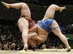 what does (bump) mean?-sumo-wrestlers_1633119c.jpg