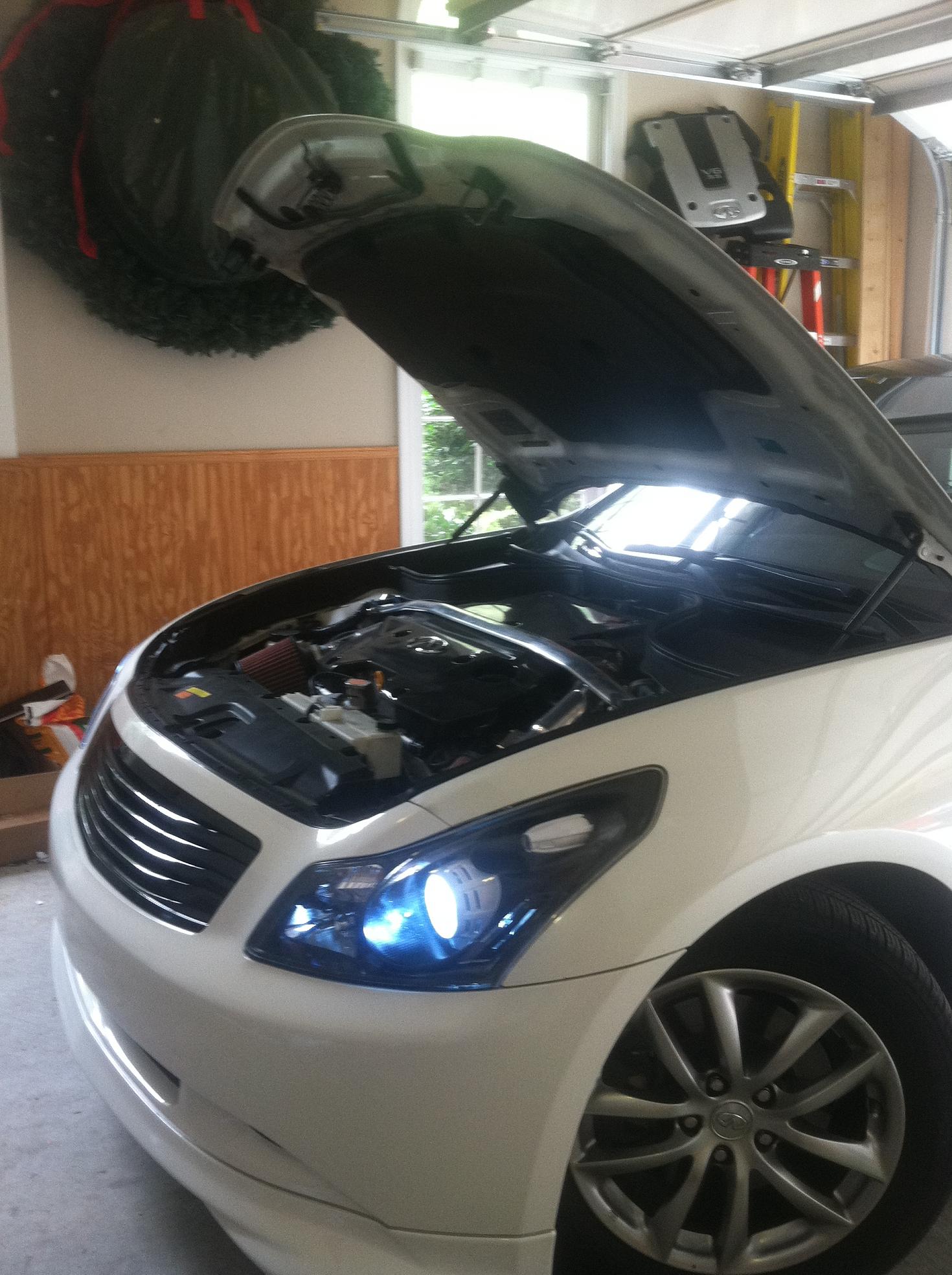 black and white themed headlights - G35Driver - Infiniti G35 & G37 Forum Discussion