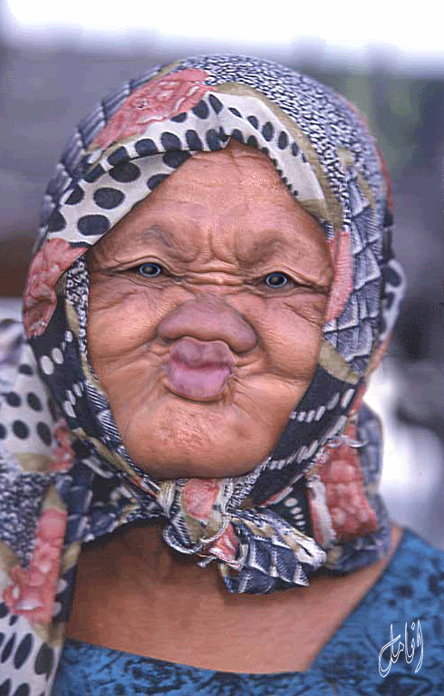 Name:  UglyWoman.gif
Views: 1736
Size:  406.0 KB
