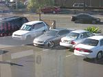 Post here if you saw your fellow G35Driver....-img_0227.jpg