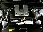New to the Forum-img_0195.jpg