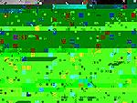 Anybody Taking Show Pics-dsc00678.jpg