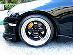 took more picts-39.jpg