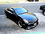 took more picts-41.jpg
