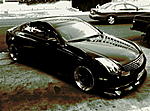 took more picts-35.jpg