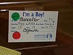 back seat of the G ... reserved for the keiki-baby-blancaflor-001.jpg