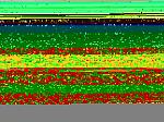 Just added STILLEN CATBACK. Well worth it!-dsc00953-2-2-2-3.jpg