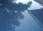 Clear coat failure, Paint defect on 05 G35 (pictures)-dsc01465.jpg