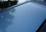 Clear coat failure, Paint defect on 05 G35 (pictures)-dsc01474.jpg