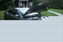 New Engine Cover... I need opinions.-engine-cover3-large.jpg