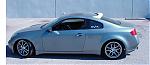 Keep it Wingless or Add a Wing?-1.jpg