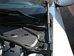 Carbon Fibe WHAT?!  Hood Dampers In CF! Guaranteed Nobody Has These Check It-img_1014_1_2_1.jpg