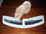SP grill quality, painting, etc...-sp_back.jpg