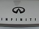 Stock Grill..painted?..Anyone did this successfully?-mo-s-pics-024.jpg