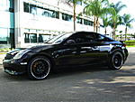 Stock Grill..painted?..Anyone did this successfully?-cimg0861.jpg