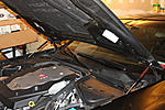 Hood Struts Available - No More Cheap Looking Prop-img_3159-lores.jpg
