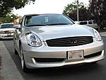 Painted Grille Qs-img_1230.jpg