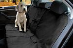 Infiniti G35 Sedan Canine Cover (03-06) - 0-canine-cover-ex.jpg