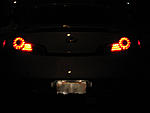 Rear License Plate Light Up Bulbs!-img_0156_1.jpg