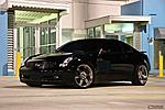 Which Fogs Are These-g35_7.jpg