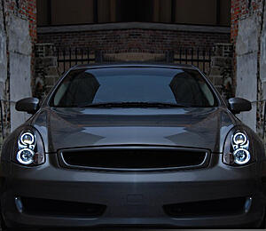 Oracle Halo Kit (8000k) G35 Coupe-xr6sufx.jpg
