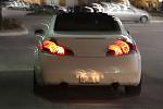 Ivory Pearl (IP) Tint Pix-z-g-cobra-015small.jpg