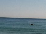 getting ready for summer!!!! beach pics!-image-3987135475.jpg