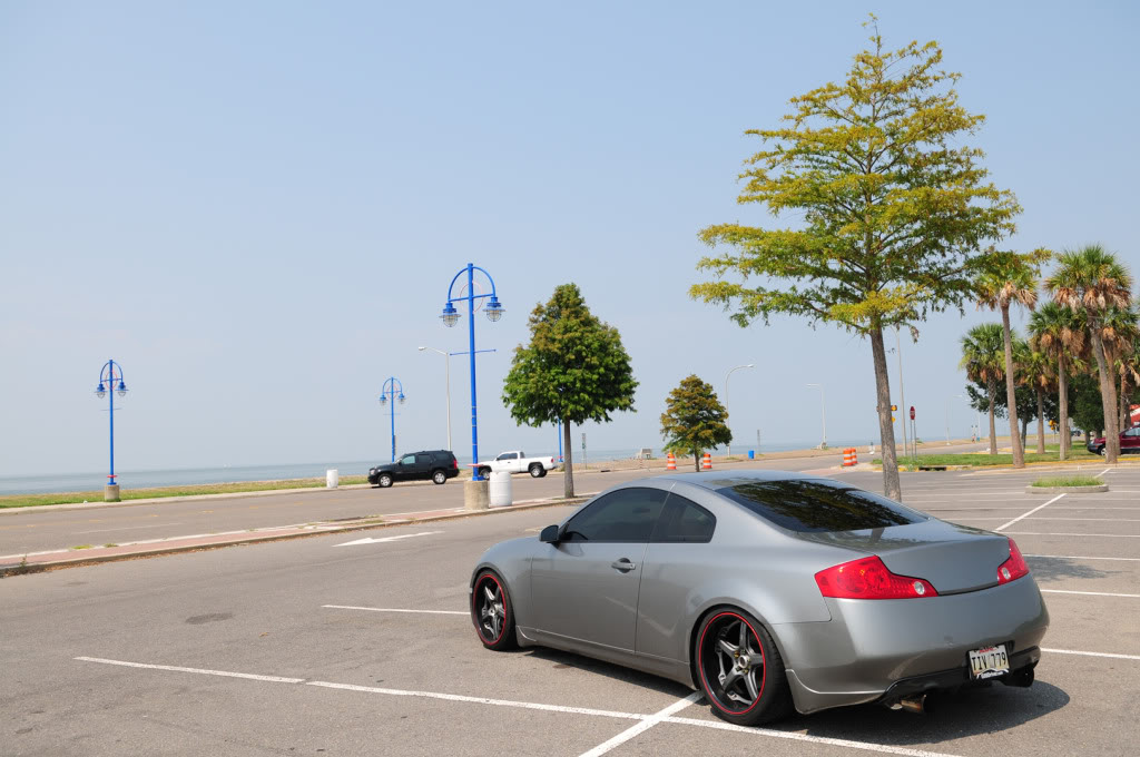Name:  DSC_3066.jpg
Views: 45
Size:  127.5 KB