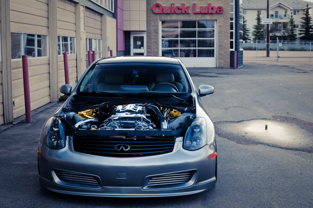 Name:  carnohood.jpg
Views: 60
Size:  148.3 KB