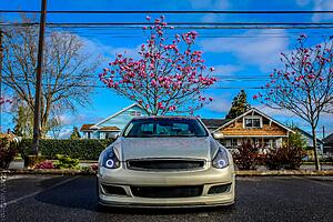 All Serengeti Sand (SS) Coupes POST PICS-ozahbur.jpg