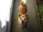 Only had my Time Attacks for one day-dsc00057.jpg