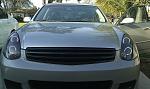 Look what I did..-g354.jpg