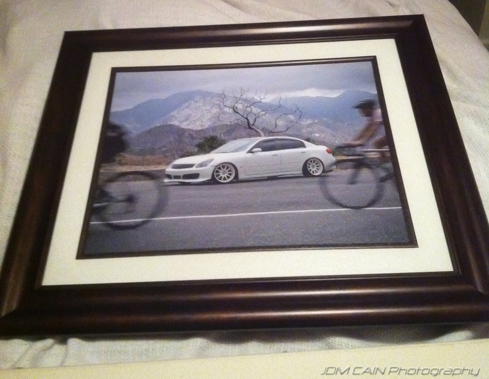 Name:  BikesFramed.jpg
Views: 81
Size:  545.4 KB