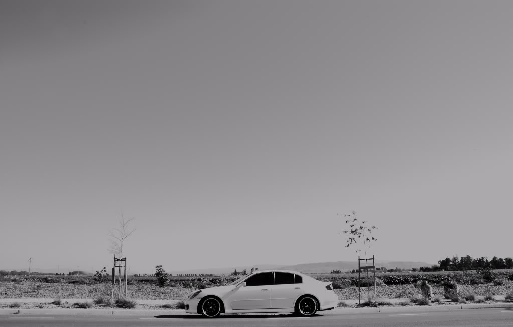Name:  DPP_0013.jpg
Views: 82
Size:  54.5 KB
