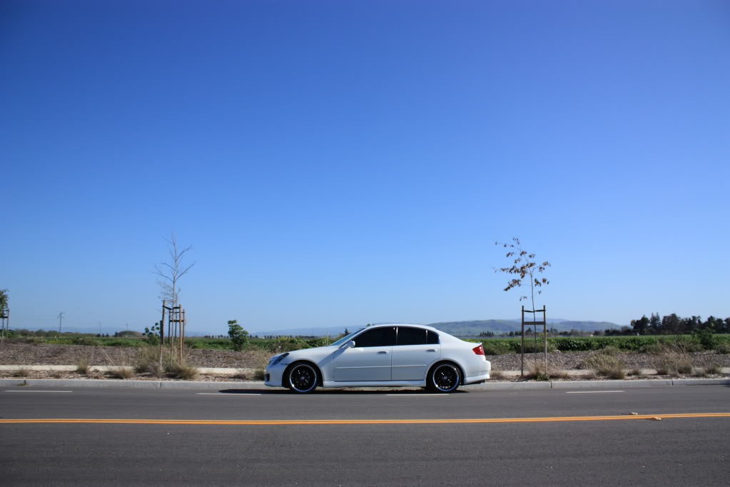 Name:  DPP_0008.jpg
Views: 86
Size:  62.1 KB