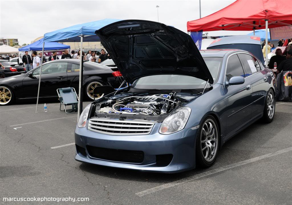 Name:  DSC_6515copyLarge.jpg
Views: 107
Size:  137.8 KB