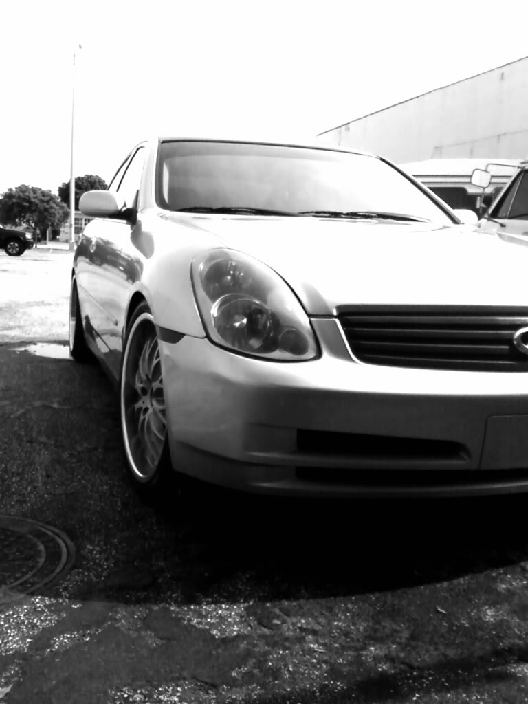 Name:  g352.jpg
Views: 130
Size:  68.3 KB